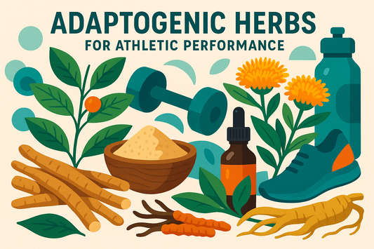 🌿⚡ Adaptógenos en el deporte: ashwagandha, rhodiola y más
