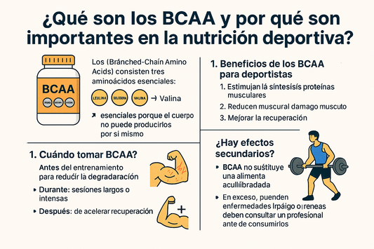 🧬 ¿Qué son los BCAA y por qué son importantes en la nutrición deportiva?