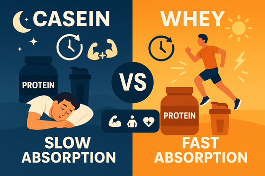 🥛 Caseína vs. proteína whey: ¿cuál elegir según tus objetivos?